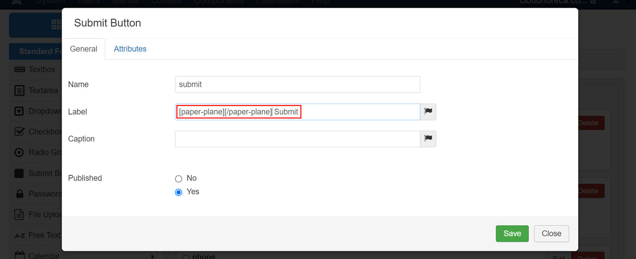Macro content in RsForm