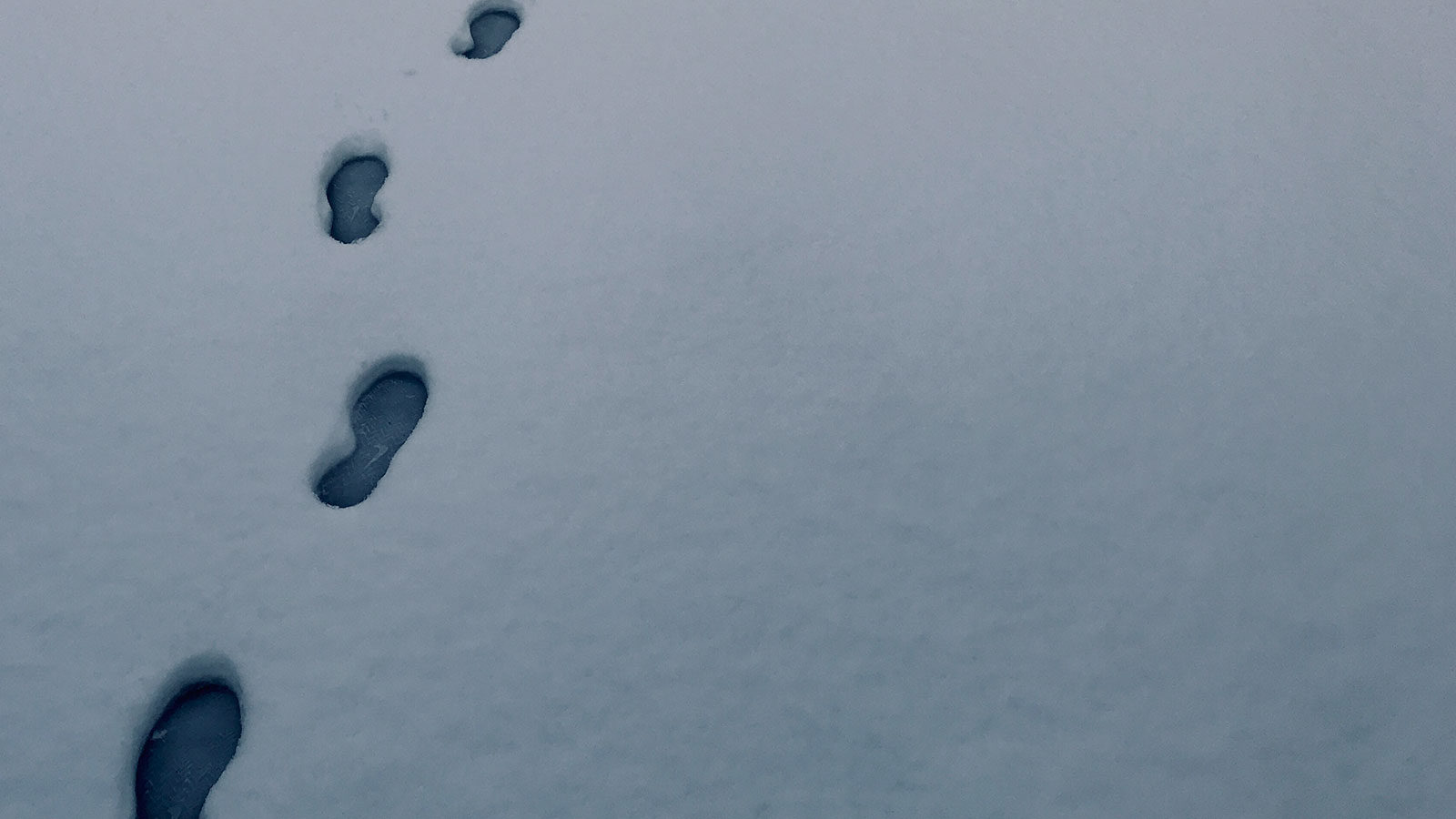 Footprints in the snow