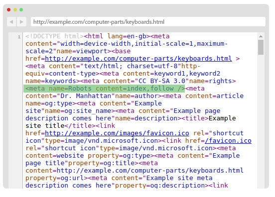 index,follow tag in the source code